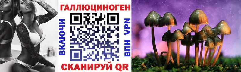 Галлюциногенные грибы Psilocybe Грязовец